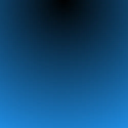 Project Image 1